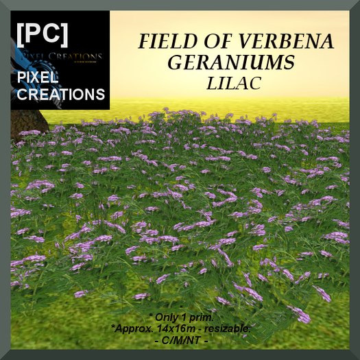 [PC] FIELD OF VERBENA GERANIUMS LILAC (Boxed)