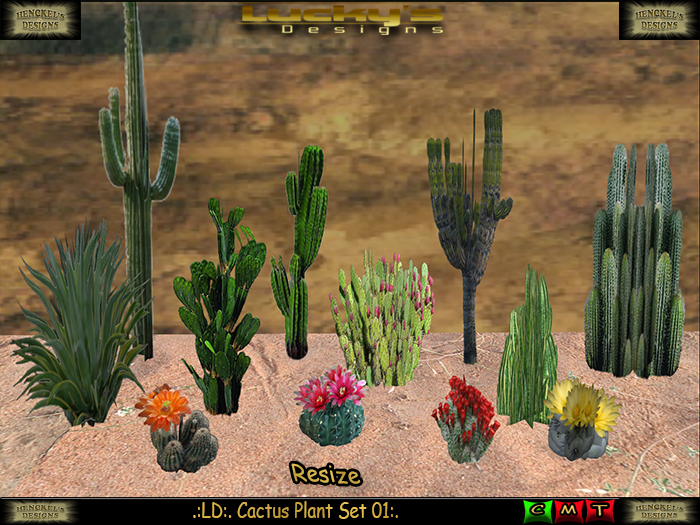 .:LD:. Cactus Plant Set 01 Mesh:.No is 3d Plant