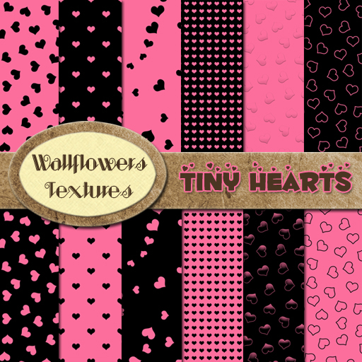 *Wallflowers* Tiny Hearts Black & Pink
