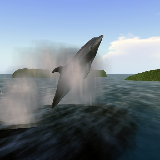 Bottlenose Dolphin (Small)
