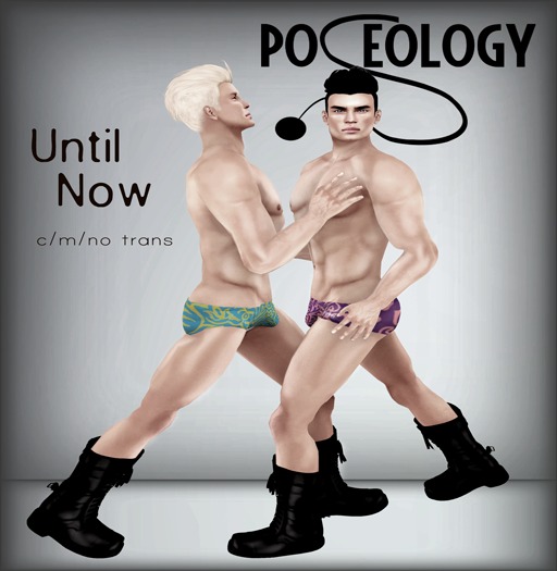 Poseology - Until Now