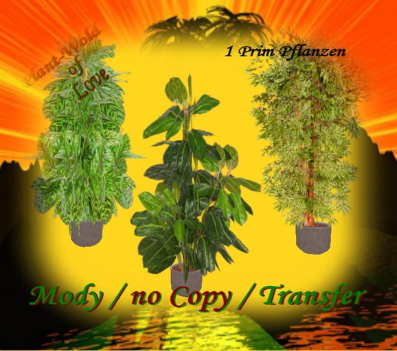 Houseplants Box  5