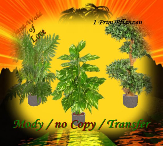 Houseplants Box   3