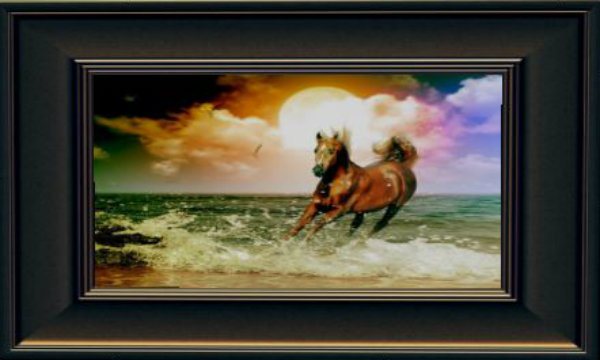 HORSE IN SEA 