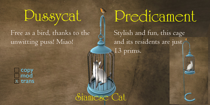 [offM] Pussycat Predicament - Siamese