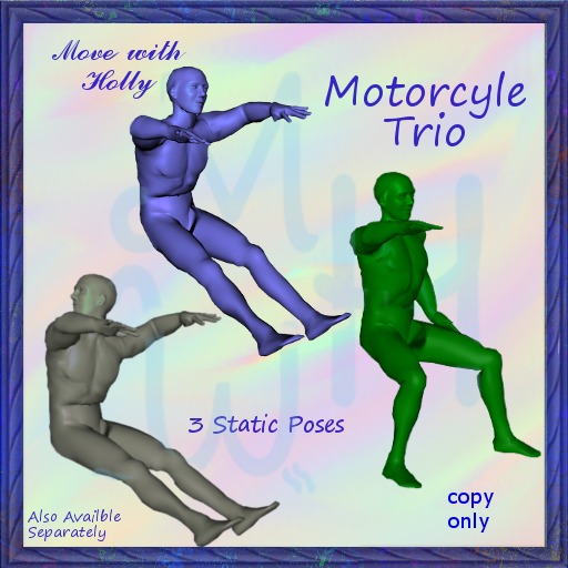 MWH - Motorcycle Trio - Static Driver Poses  COPY ONLY