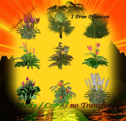 Mixed Garden Plants Box 11
