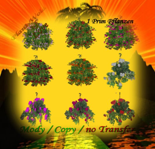 Mixed Garden Plants Box10