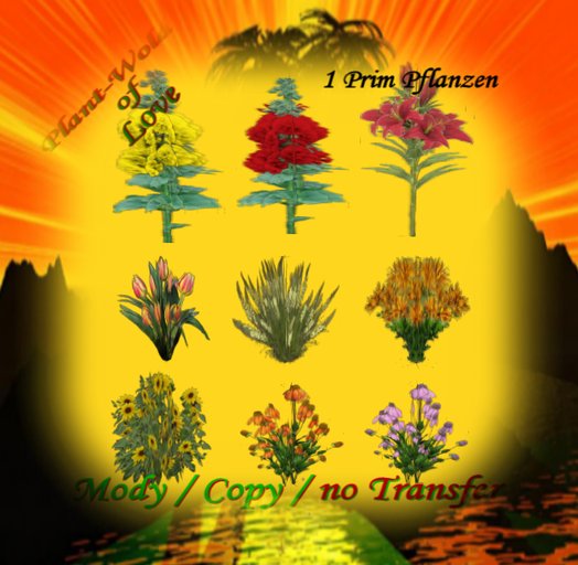 Mixed Garden Plants Box 9