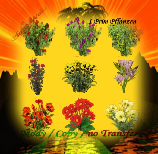 Mixed Garden Plants Box 8
