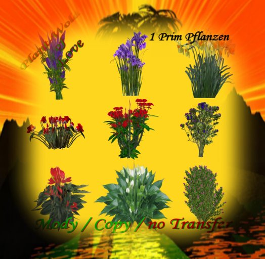 Mixed Garden Plants Box  7