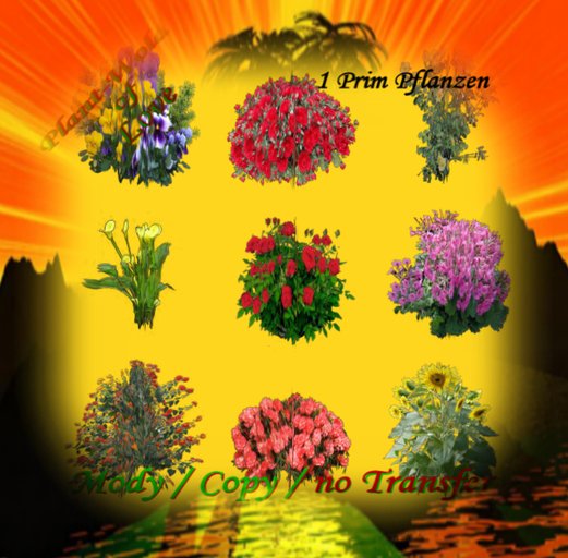 Mixed Garden Plants Box 6