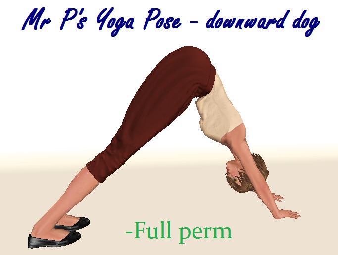 "Yoga Pose - downward dog"
