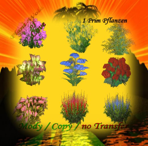 Mixed Garden Plants Box  4