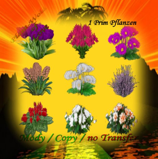Mixed Garden Plants Box 3