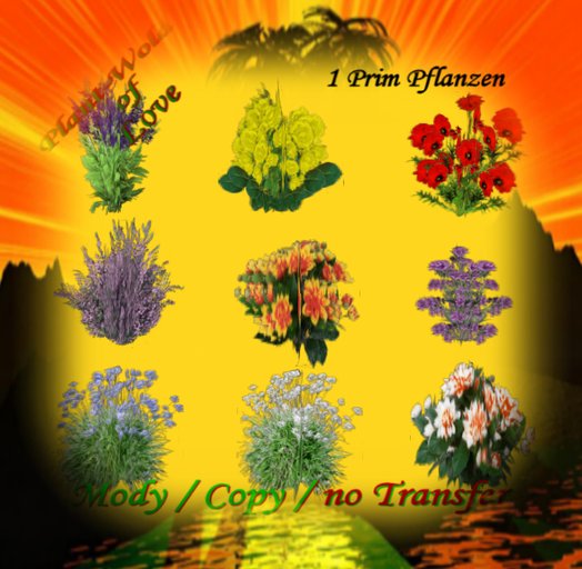 Mixed Garden Plants Box  2