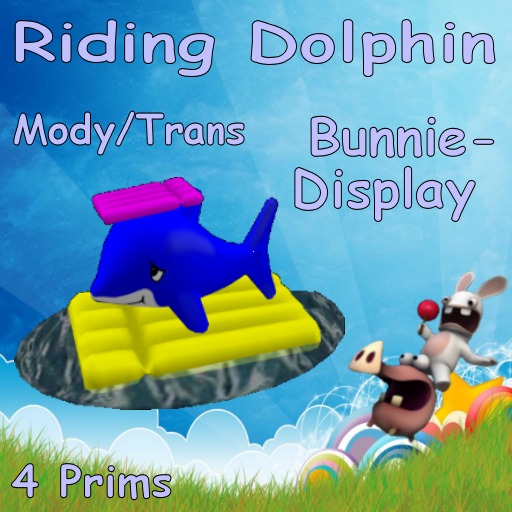 Riding Dolphin Display