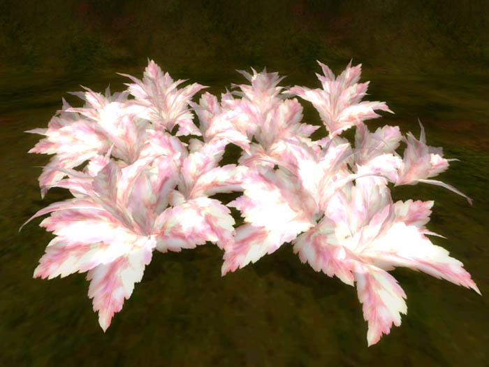 color leaf pink