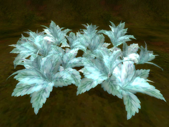 color leaf aqua