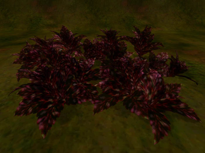 color leaf blood