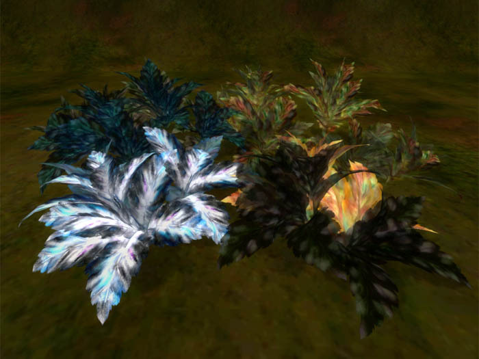 color leaf dark color change 