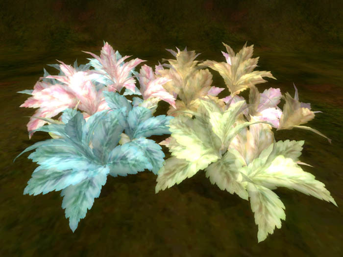 color leaf light color change 