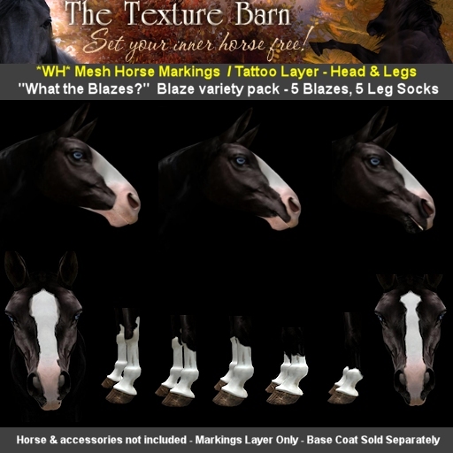 The Texture Barn - What the Blazes - for WH Mesh Horse Avatar