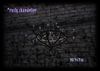 Snapshot 481