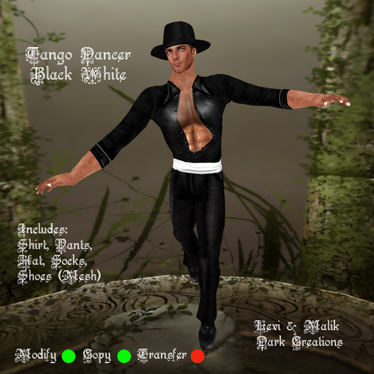 Tango Dancer Black White