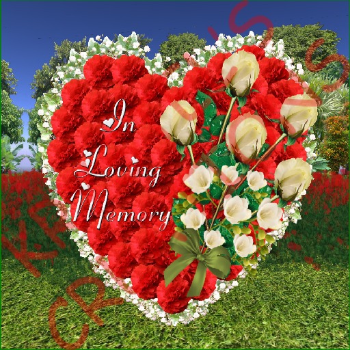 W44 In Loving Memory Red Carnations Heart Wreath (Rezz Me)