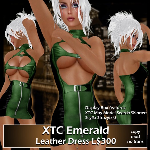 XTC Emerald Leather Dress