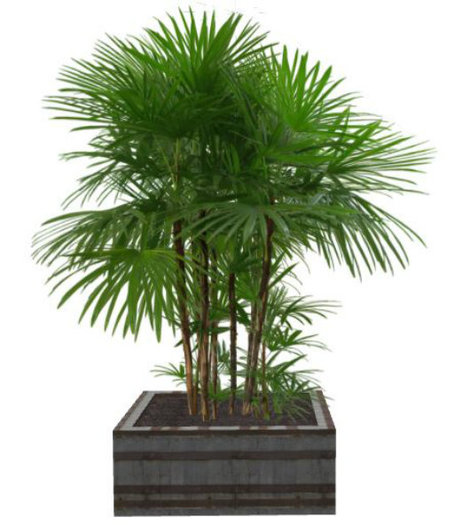 ELGIN MARBLES IN A ROW