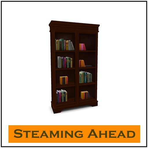 SA Bookcase with Books 1