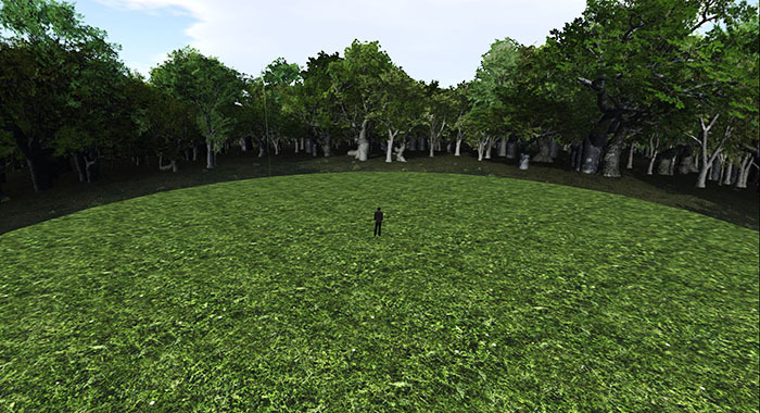Forest Ring Privacy Screen and Textures