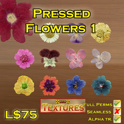 USC Textures - Pressed Flowers 1 