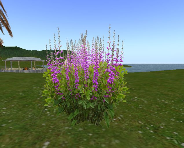 Cruella's 1 Prim Baptisia - Purple -  Copy - Scripted