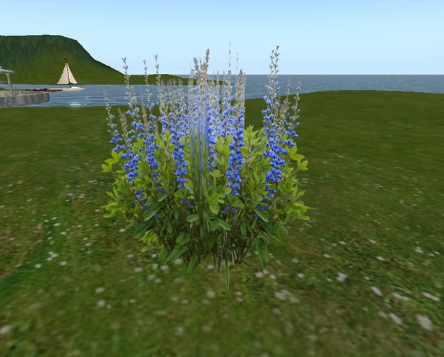 Cruella's 1 Prim Baptisia -  Royal  -  Copy - Scripted