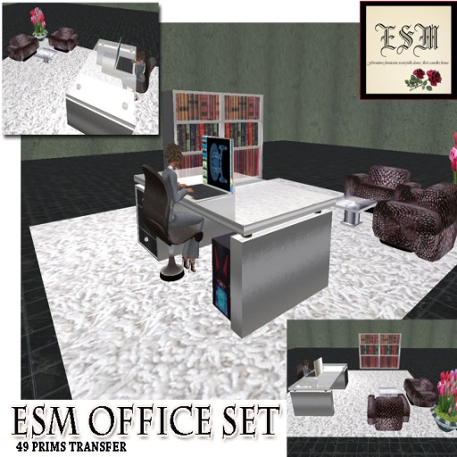 ESM OFFICE SET COMPLETE 49 PRIMSPkg