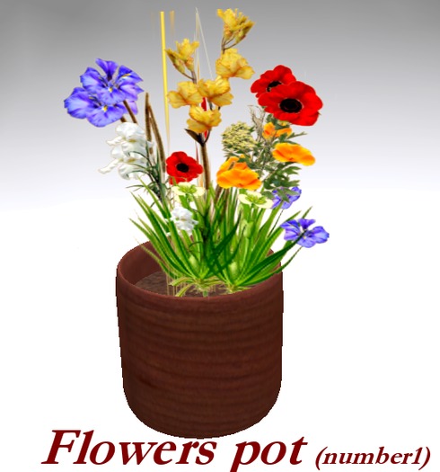 Flowers Pot 1