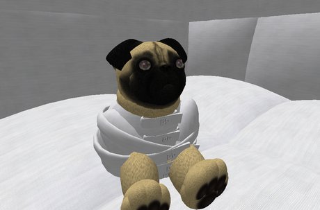 straight jacket dog