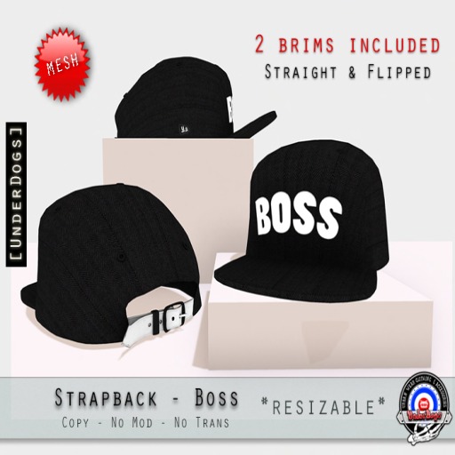 [UD] - StrapBack - Boss - Mesh (Bag)