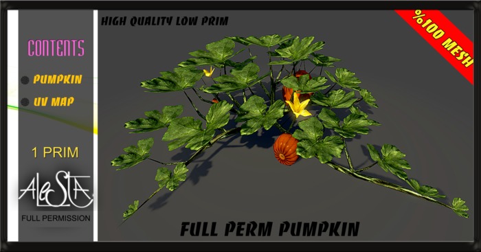ALESTA << Mesh Pumpkin Plant Full Perm