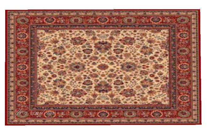 RED BORDER RUG 