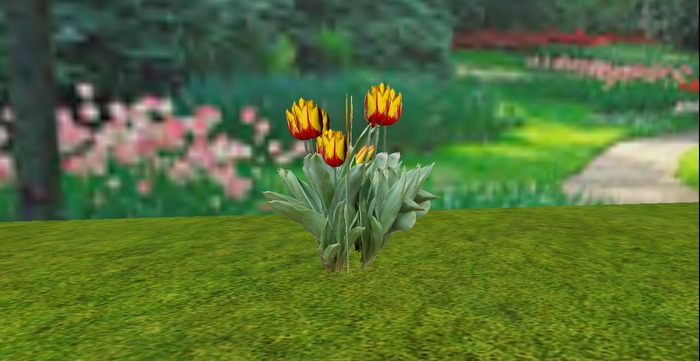 V&H Spring flowers Yellow red Tulips