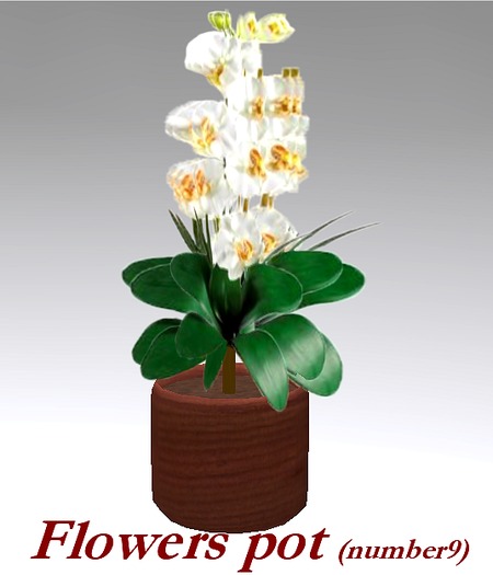 Flowers Pot 9