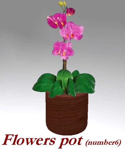 Flowers Pot 1