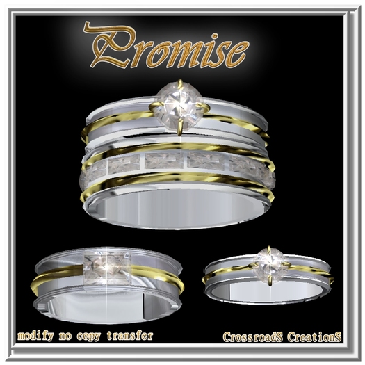 Promise Rings DEMO* 1