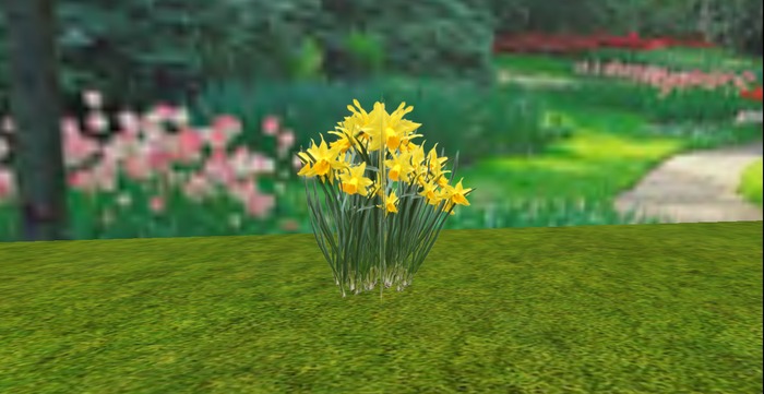 V&H Spring flowers Yellow Daffodils