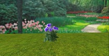 V&H Summer Dhalia  fat pack modify copy