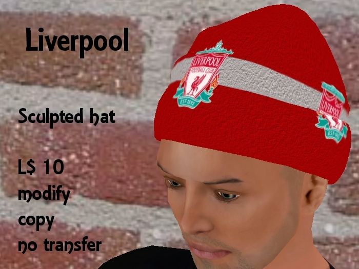 Liverpool FC Wooly Hat